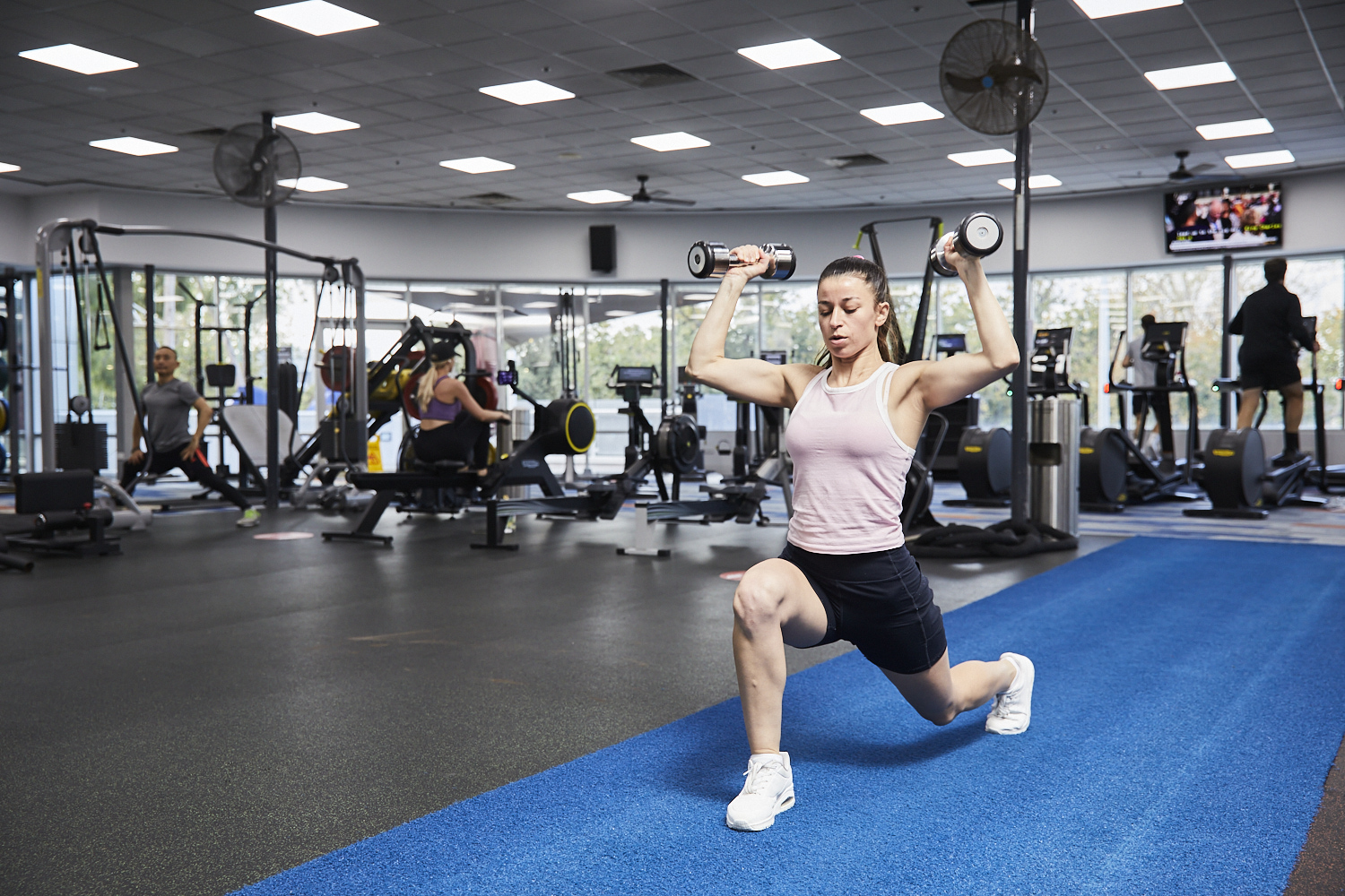 9 Series of Gym Machines for Strength Training